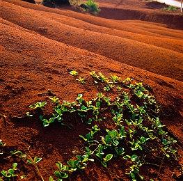 《inZOI》有16种死亡方式：交通事故 缺乏认同致死