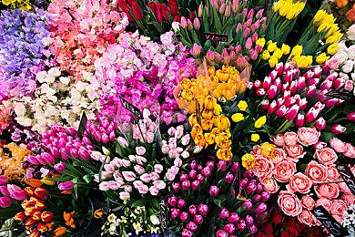 《龙腾世纪4》将注重单人游戏体验 明年公布新消息